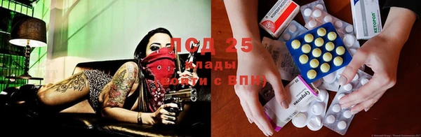 винт Баксан