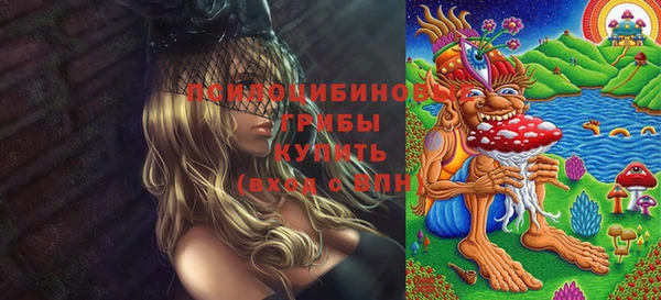 винт Баксан