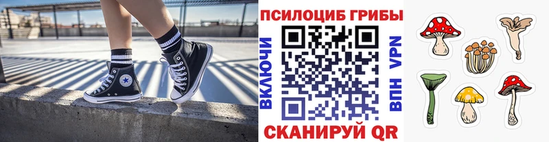 Галлюциногенные грибы Cubensis  наркотики  Верхняя Салда 