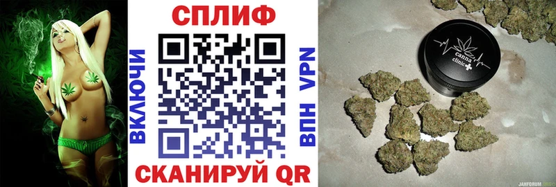 Канабис планчик  Верхняя Салда 